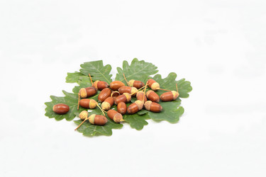 Similar image 8200751