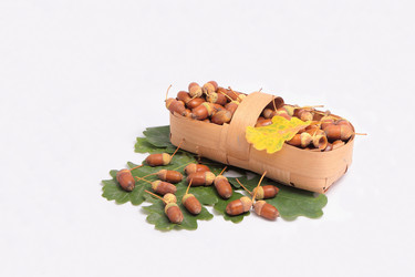 Similar image 8200752