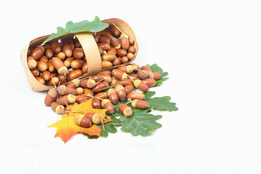 Similar image 8200753