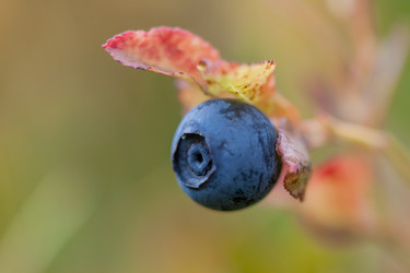 Similar image 8200806