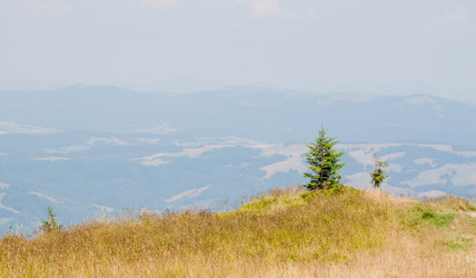 Similar image 8200813