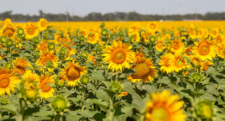 Similar image 8200824