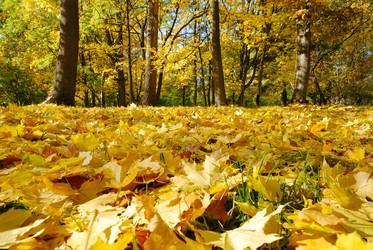 Similar image 8200867