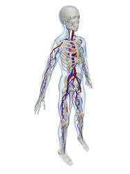 Similar image 8200905