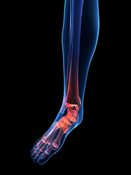 Similar image 8200988