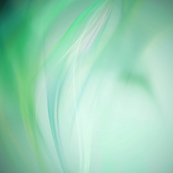 Similar image 8200990