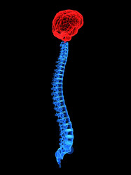 Similar image 8201002