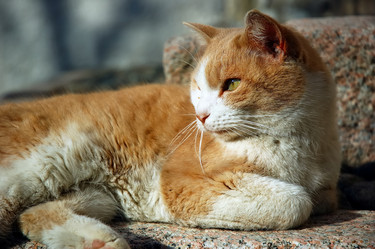 Similar image 8201019