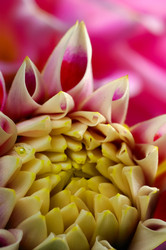 Similar image 8201028