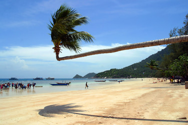 Similar image 8201034