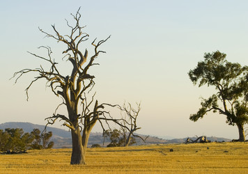 Similar image 8201037