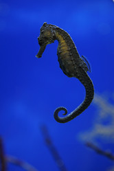 Similar image 8201055