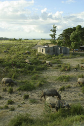 Similar image 8201099