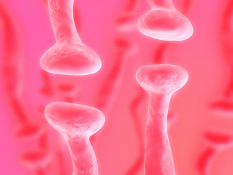 Similar image 8201145