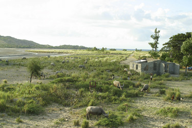 Similar image 8201192