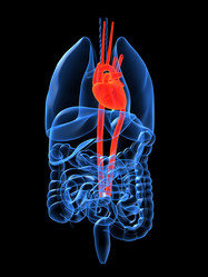 Similar image 8201207