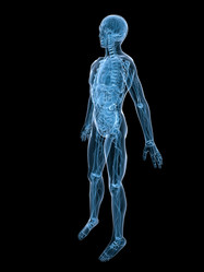 Similar image 8201208