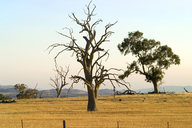 Similar image 8201210