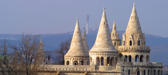 Similar image 8201239