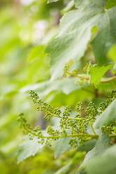 Similar image 8201243