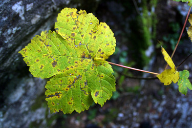 Similar image 8201244