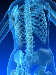 Similar image 8201248