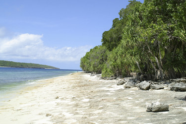 Similar image 8201263