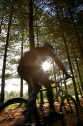 Similar image 8201274