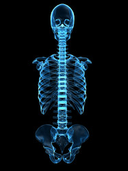 Similar image 8201289