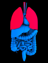 Similar image 8201336