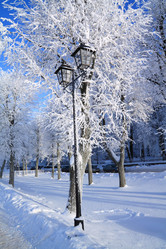 Similar image 8201346