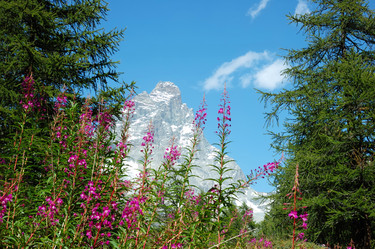 Similar image 8201354