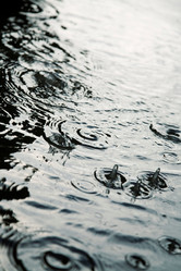 Similar image 8201362