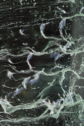 Similar image 8201368