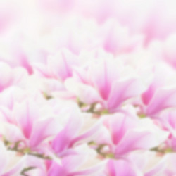 Similar image 8201410