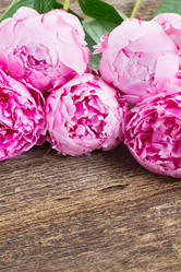 Similar image 8201414