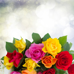 Similar image 8201420