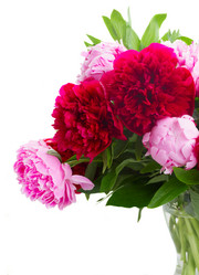 Similar image 8201439