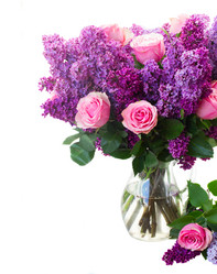 Similar image 8201448