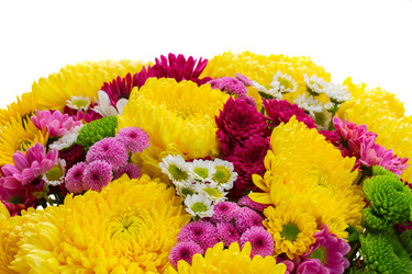 Similar image 8201472