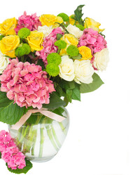 Similar image 8201476