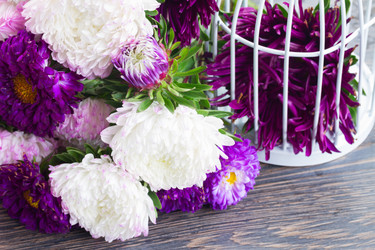 Similar image 8201483