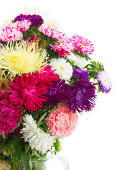 Similar image 8201484