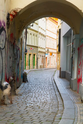 Similar image 8201494