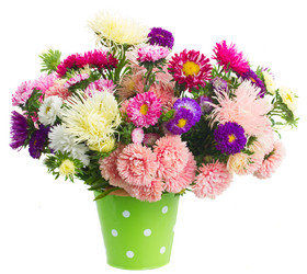 Similar image 8201495