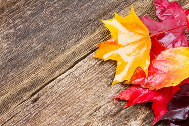 Similar image 8201497