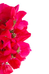 Similar image 8201505