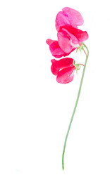 Similar image 8201506