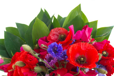 Similar image 8201514