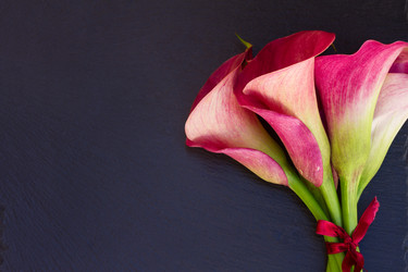 Similar image 8201518